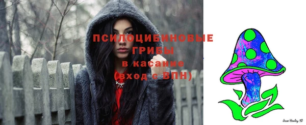 сатива Лихославль