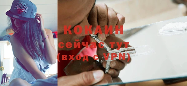 гидра Лиски