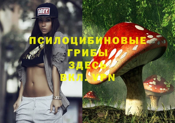 сатива Лихославль