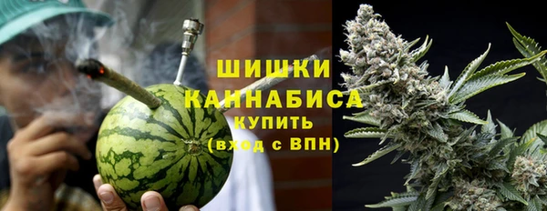 PSILOCYBIN Бердск