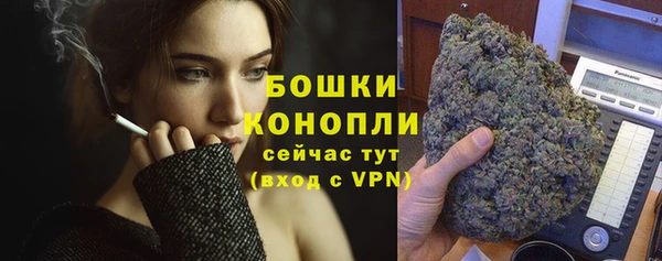 сатива Лихославль
