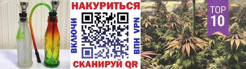дарнет шоп кракен маркетплейс Бошки Шишки конопля Томилино